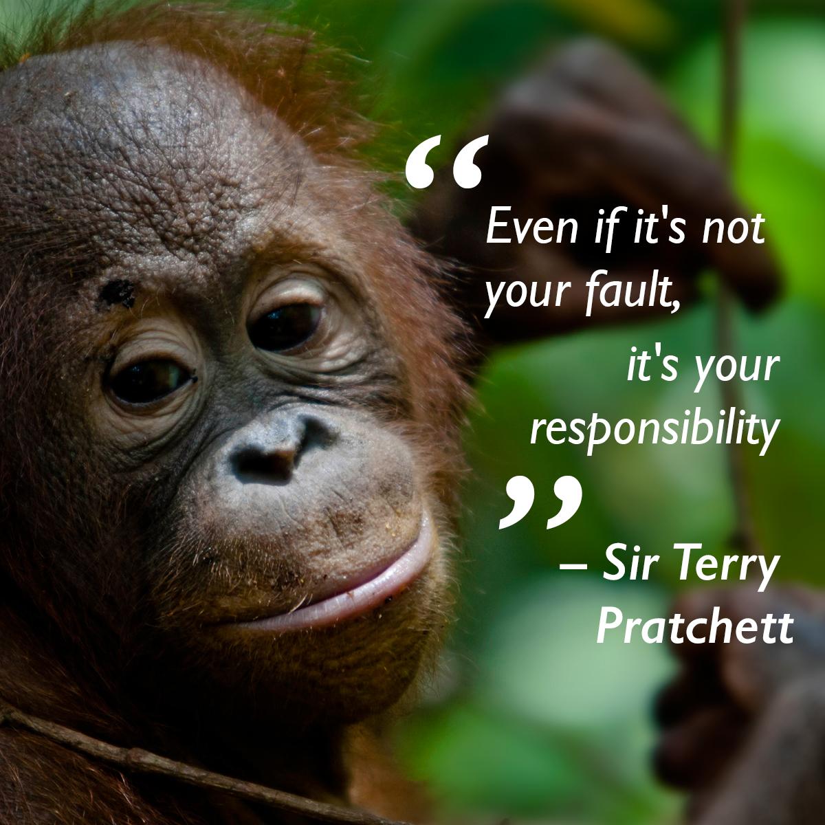 greenpeaceusa's tweet image. Orangutans &amp;amp; fantasy readers have lost an icon today. RIP Terry Pratchett, Discworld author &amp;amp; @OrangutanFndn trustee