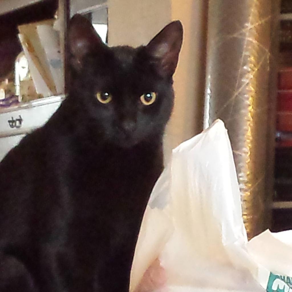 micrababe's tweet image. 