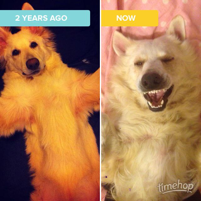 CharlotteeHicks's tweet photo. Exactly 2 years ago today! via @timehop http://t.co/JjF7rlG6wO