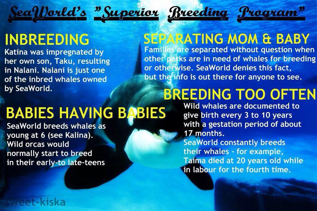 So many things SeaWorld does that most people do not know! #EmptyTheTanks #Blackfish #endSW