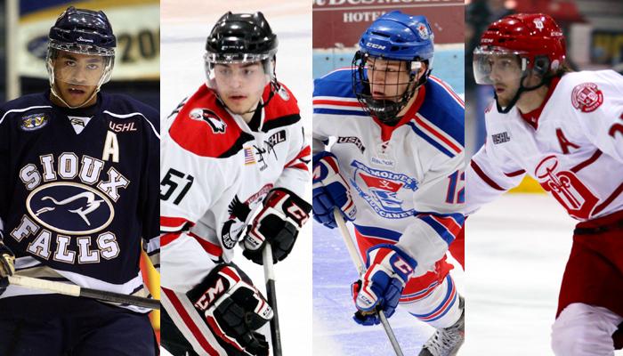 USHL's tweet image. All 6 members of @WCHA_MHockey All Rookie Team are #USHLalumni #DevelopmentPath bit.ly/WCHAawards
