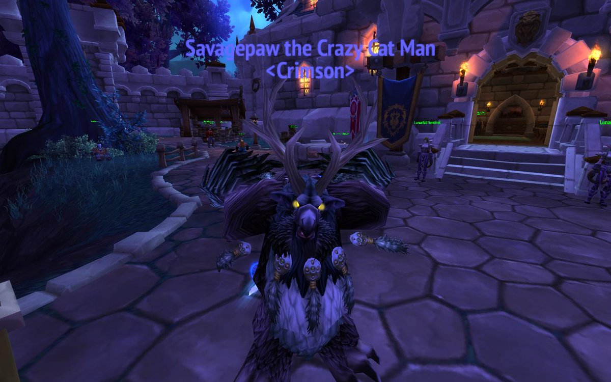 Savagepaw's tweet photo. Boomie time! http://t.co/1jYlC9nv0U
