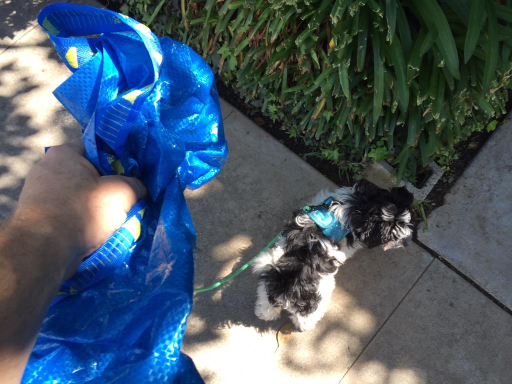 Bob Berg Photography tweet media