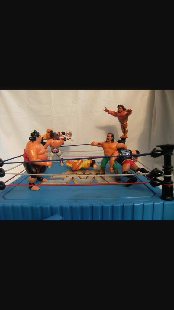 WWF #oldschool tweet media