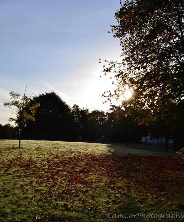 ULPhotoSoc's tweet photo. Photo from our #NatureCompetition by Camille hosted also by @ULEnviroCom http://t.co/3HPCmfqldk