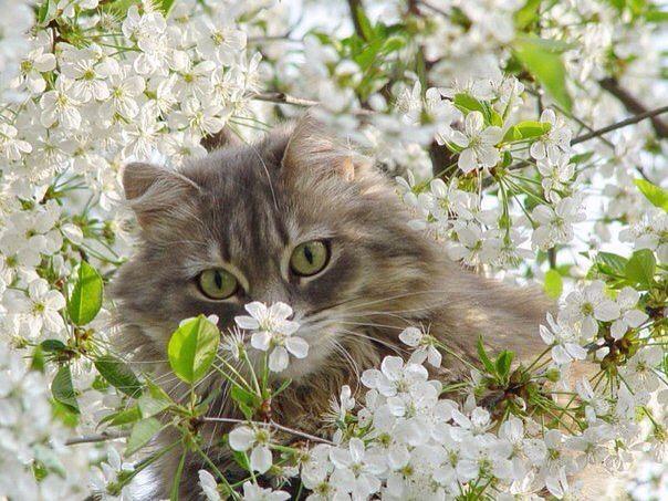 Михаил  Белоусов (@belousovmd62) on Twitter photo 