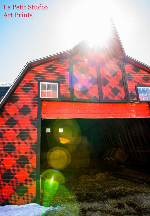 LePetitStudioCT's tweet photo. Fun driving around the #NWCorner of #CT this week...saw this gorgeous @cabotcheese barn #LaurelbrookFarm @buyCTgrown! http://t.co/SyM6ZIp2fT