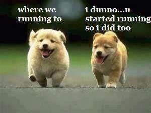 Why #run? I dunno, you started it! bit.ly/1EDROvD