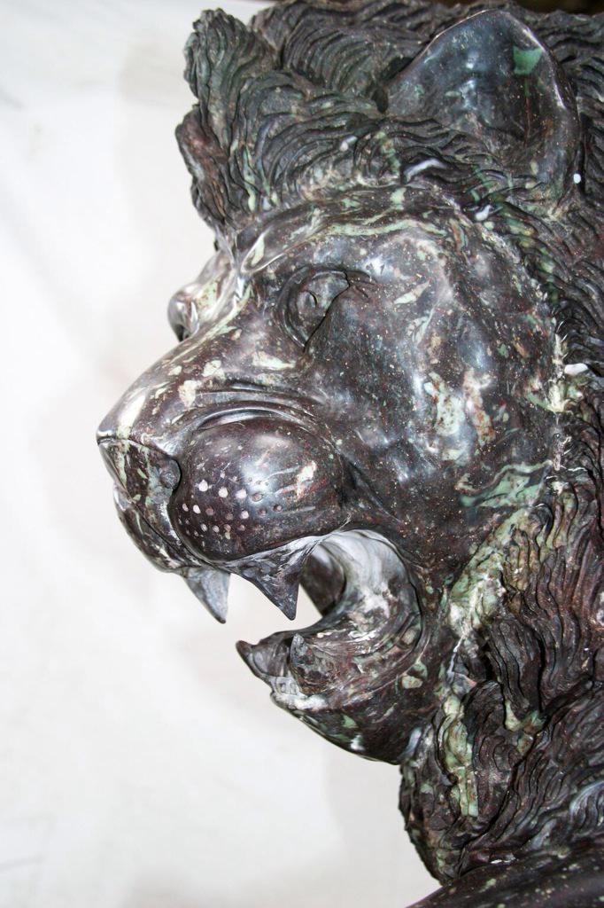 FindYourWonder's tweet photo. #inlikeaalion hopefully #April will bring rain instead of snow showers #SpringIsComing #Lions #FlashSale http://t.co/OCXu3yxVtq