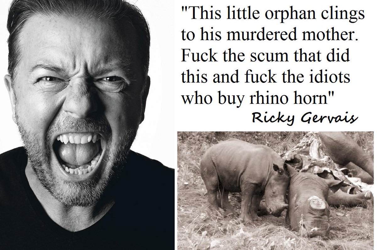 RT if you agree with <a href="/rickygervais/">Ricky Gervais</a> - #RhinoHornCuresNothing