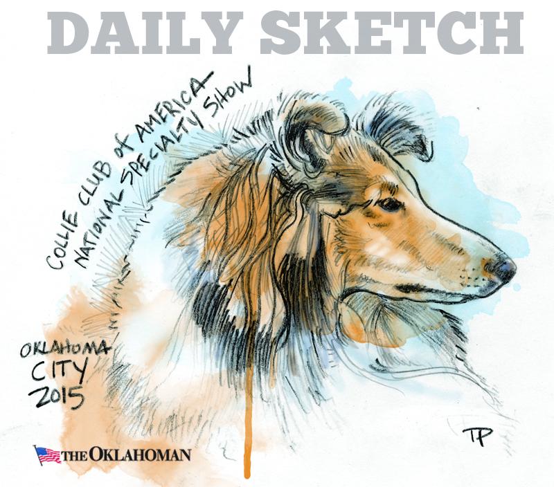 <a href="/ToddPendleton1/">Todd Pendleton</a> The Collie Club of America has been showing in OKC this week.#collies #dog #OKC