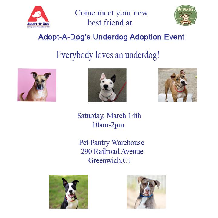 Adopt A Dog On Twitter Our Underdog Adoption Event Is This