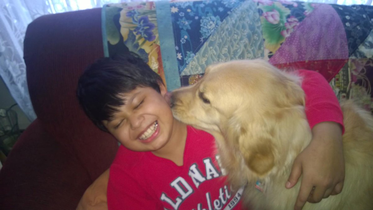Bennett, our Golden Retriever was placed with Alex last year and made an amazing difference in his life #servicedogs
