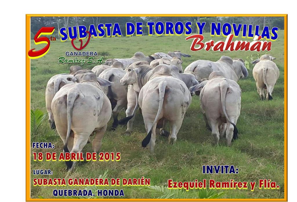 ERamirez_05's tweet photo. Los invitamos a la 5ta Subasta que organiza nuestra Ganadería http://t.co/yWvUOZOUQy