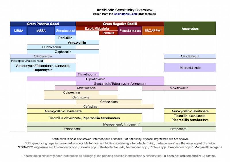 Antibiotic Spectrum Chart