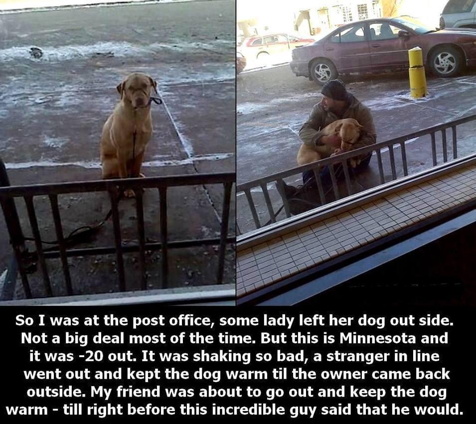 LizcoinIntern's tweet photo. If you see a helpless animal, take action! http://t.co/aTIyn0M4j3