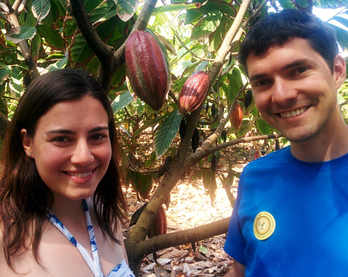 rootchocolate's tweet photo. Read more about our visit to cacao farms in Hawaii, particularly @lonohana and @KahukuFarms ! http://t.co/WeILXw3wNm http://t.co/tEdL1Jh3EK