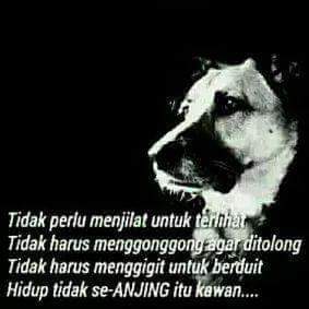 Quotes Of The Day On Twitter Hidup Tak Seanjing Itu Http