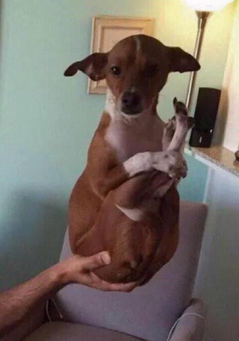 SoyDelPasado's tweet photo. Cuando alguien va a pasar en el cine. http://t.co/OawcyKimLv
