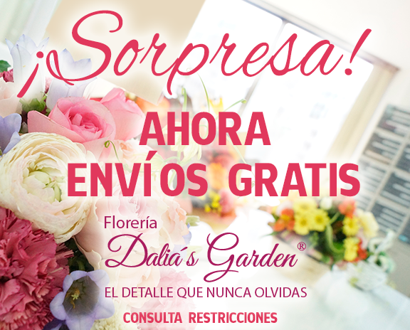 Porque tú lo pediste, ahora los envíos son #gratis . bit.ly/15QZDPf