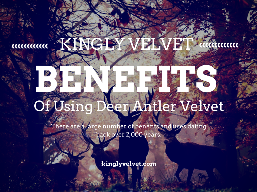 Kingly Velvet tweet media