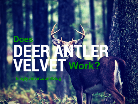 Kingly Velvet tweet media