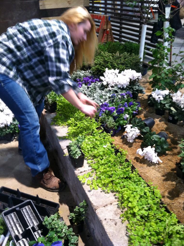 High contrast and bold design at <a href="/ChicagoAgHS/">Chgo HS Ag Sciences</a> garden #7...lots to do, but we're having #fun!