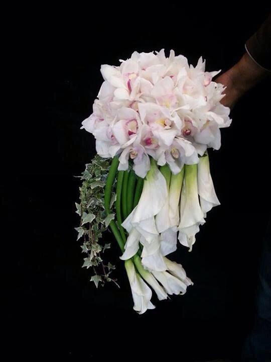 Manula_Arts tweet picture
