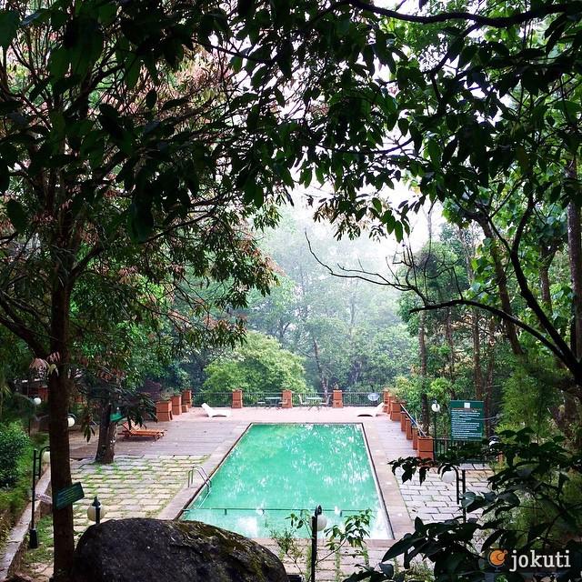 jokuti's tweet photo. Early morning #junglepoolmood in the #amazing #vythiriresort, #Wayanad, #Kerala. #jokuti_india #KeralaBlogExpress #… http://t.co/dcnpVnea7s