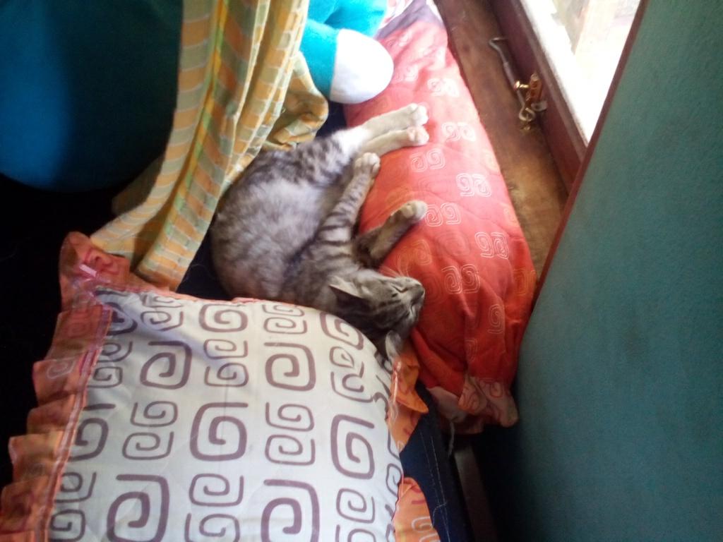 DiekakaSandy's tweet photo. #cymera enak sekali yaaa http://t.co/sbIuAmauzj