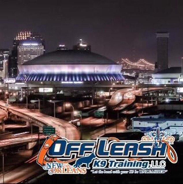 Offleashk9nola's tweet photo. Coming in 2016 #anysize #anybreed #nolaofftheleash #k9trainers ##k9ol http://t.co/ymUnYvbFHH