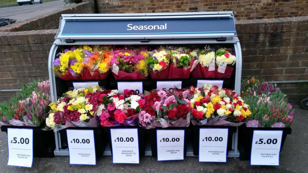 Wendoverexpress's tweet photo. @haydentotty102 @hmpilling anyone want some flowers? http://t.co/Ze3BIsv8Ce
