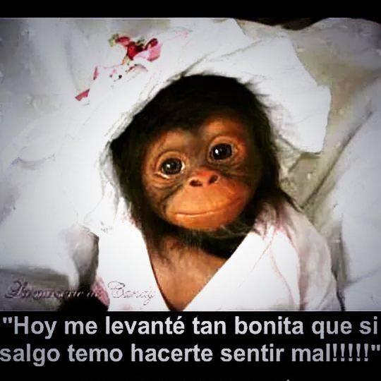 MARIAROMEROMUOZ's tweet photo. VIERNES!!! @Lara_Rome :) http://t.co/XWHIBVtHhy