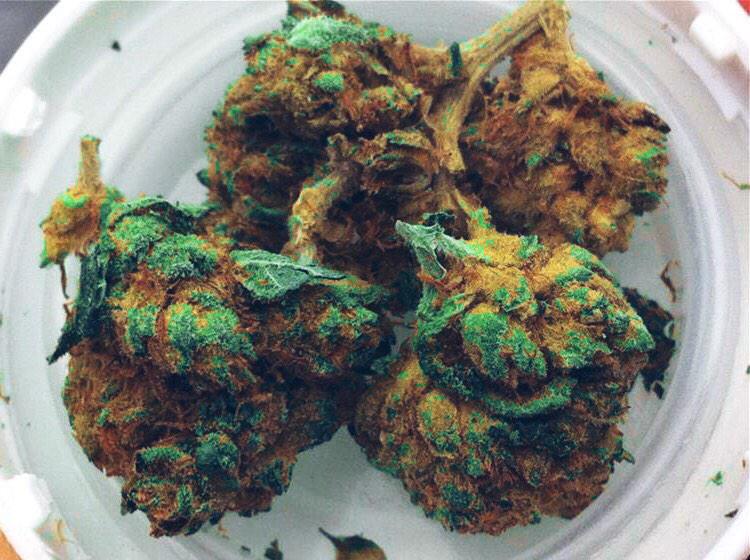 kushandwaffles's tweet photo. Omg #PhazerDro 😍1powerful blended strain all I need is dabs #TeamKUSH @StonedBabeAnon @xStonerGirls @carlysmokesweed http://t.co/w777jSOOhS