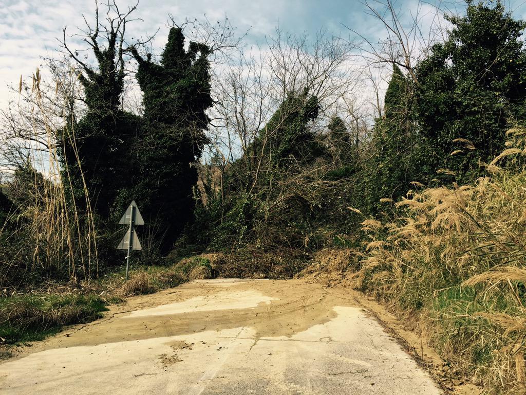 RiderCouncil's tweet image. Usually it's sheep.