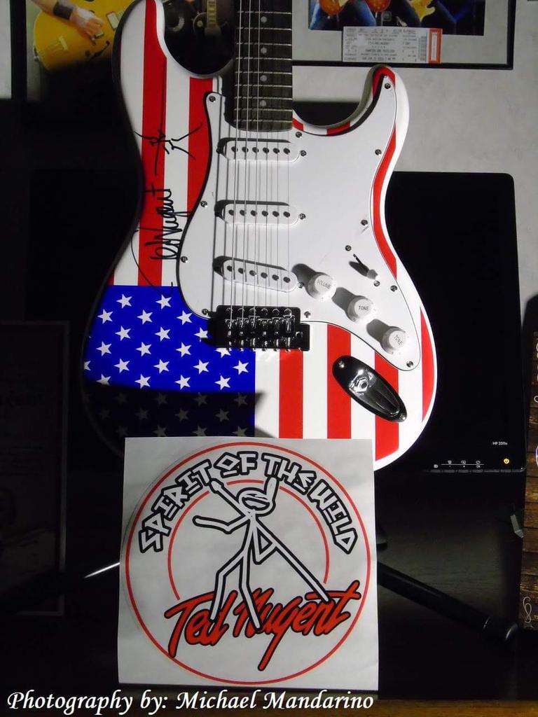 Ted Nugent Stars and Stripes Guitar