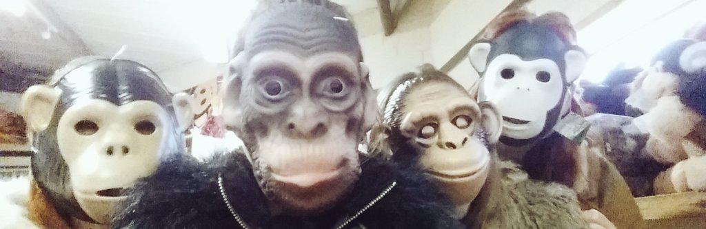 Hannahscott17's tweet photo. Birthday trip to Monkey World with the roomies @chelseachubz @hla_ @sophiepalmer08 🙈🙉🙊 http://t.co/Ps8Aqryqxe