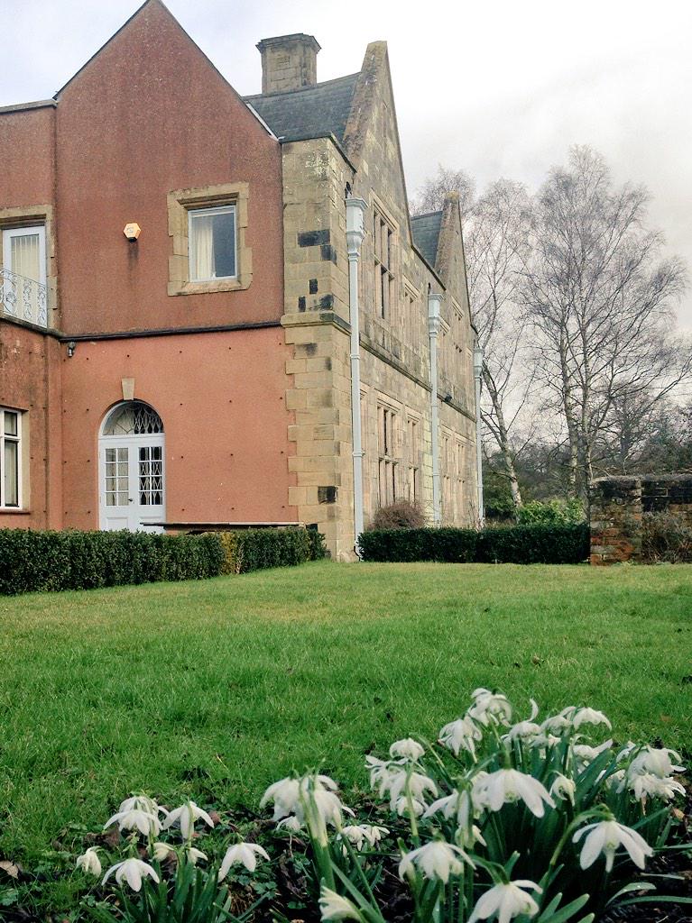 Garden springing to life in the Falconhurst garden- great time of year!