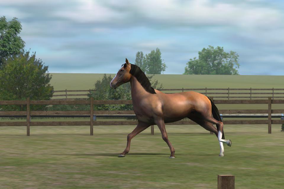 Check out my photo! Add me, emmmssss. #MyHorse  nmgam.es/horse_twitter