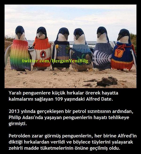 HergunYeniBilg's tweet photo. ''İnsanlık'' http://t.co/5ls8N0nfN3
