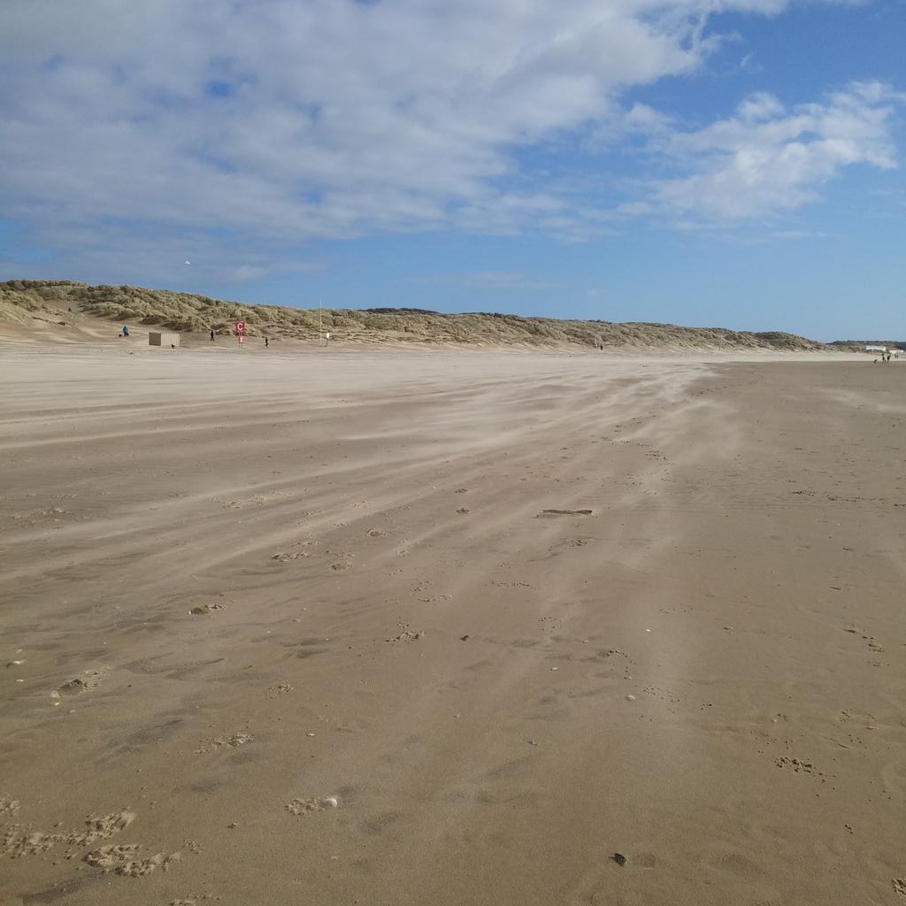 Busy morning on the beach again #cambersands #ryesussex