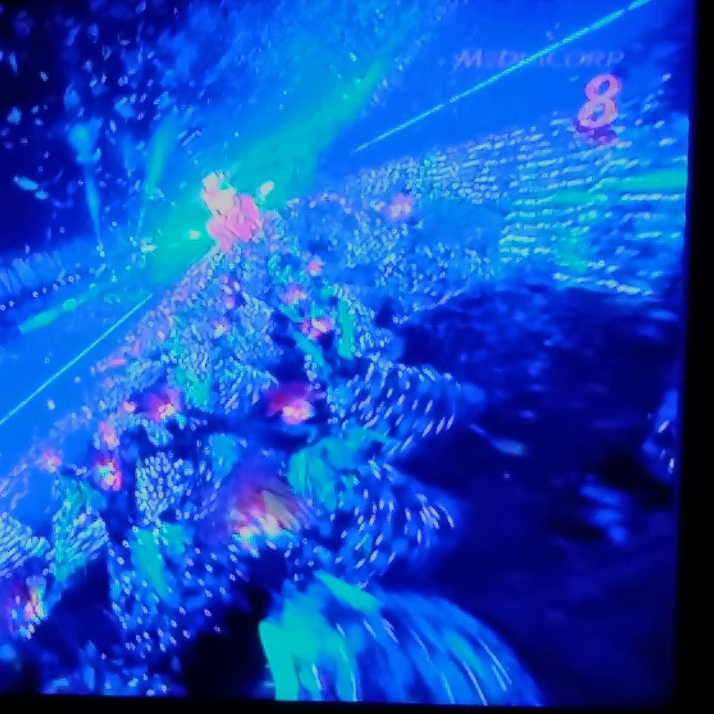 AndrewTAviation's tweet photo. Loving this year's #SG50 #CHINGAY2015 theme of "White & Gold" ! http://t.co/dKYE3hepHl