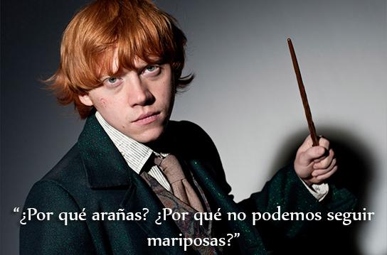 EiProfeta's tweet photo. Hoy, 1 de marzo, Ronald Weasley cumple 35 años. ¡Felicidades! http://t.co/bTTNuEEEn8