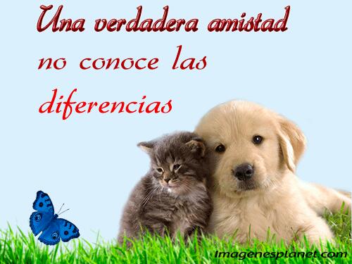 Bienvenidos al nuevo foro de apoyo a Noe #230 / 02.03.15 ~ 05.03.15 B_B2gbuWwAIVrTC