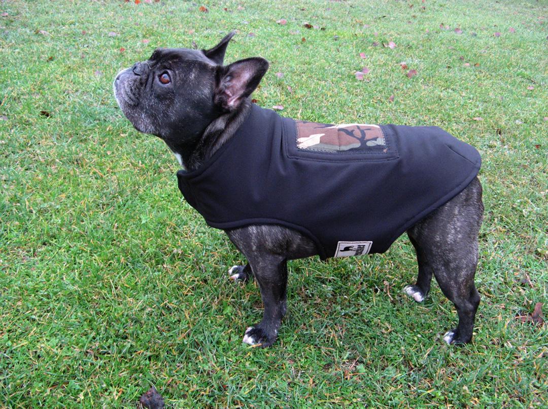 nrsgirlfriday's tweet photo. @DeBoTheFrenchie You're a handsome boy, Debo. There's a new Etsy store just for frenchies!
https://t.co/m9akJGIXfL http://t.co/Vh55FTES0w