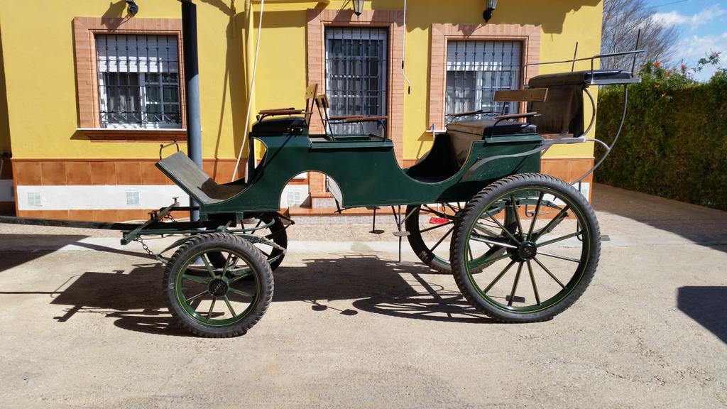 a_Lopezcarranza's tweet photo. Se alquila coches de caballos para bodas,ferias,romerias... http://t.co/C9i1Q5QiUC