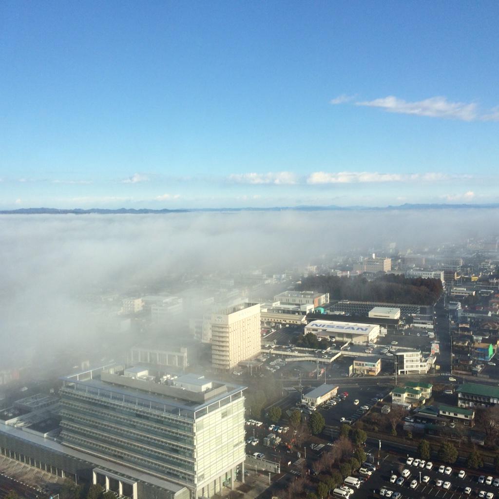 誰かのため、人のため、自分の希望を犠牲にしてまで人のため。
まだ、できる。やればできるはず。