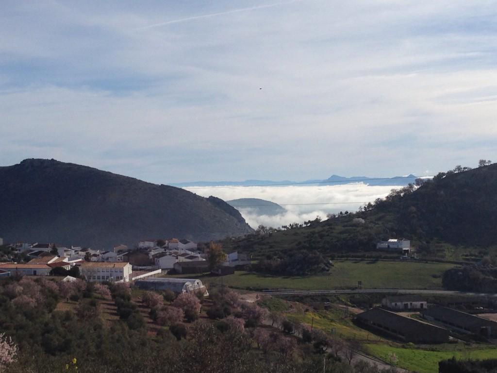 MaribelChito's tweet photo. Orgullo cañetero o algo así. http://t.co/yWeylH9WGH
