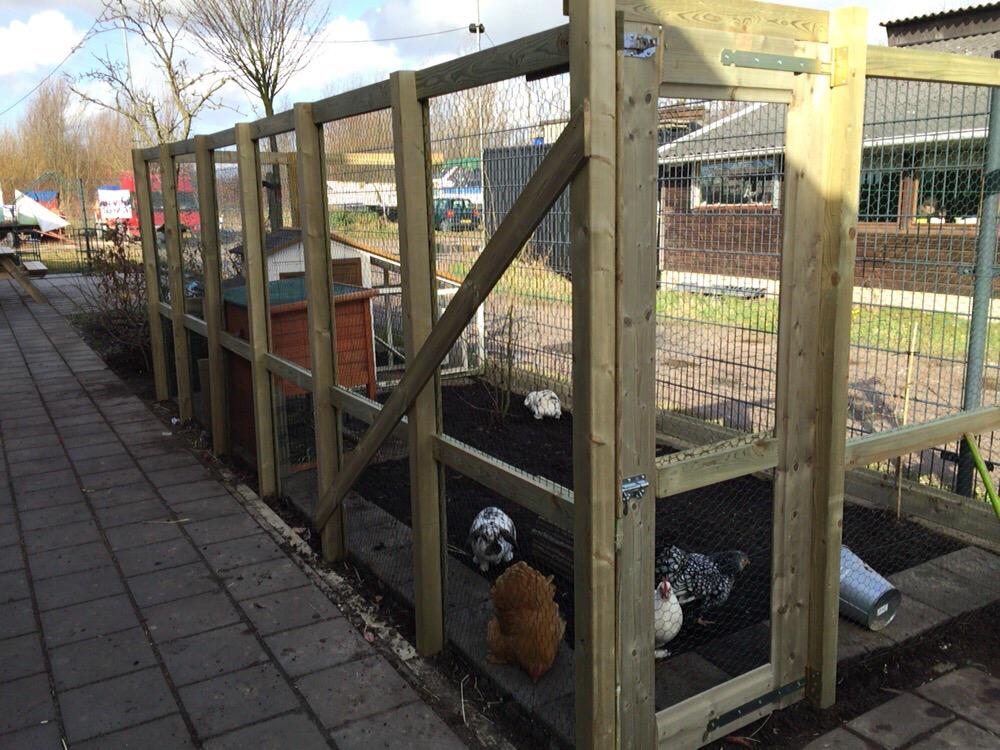 kcPoortugaal's tweet photo. Zoals beloofd.....het wachten is beloond! Wat zijn onze kippen en konijnen blij! Een prachtige ren, wat een plezier! http://t.co/roAvTJrVRE