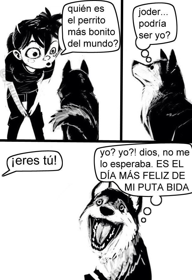 Ysucrist's tweet photo. lógica d perros http://t.co/M9kHTs1Bq8
